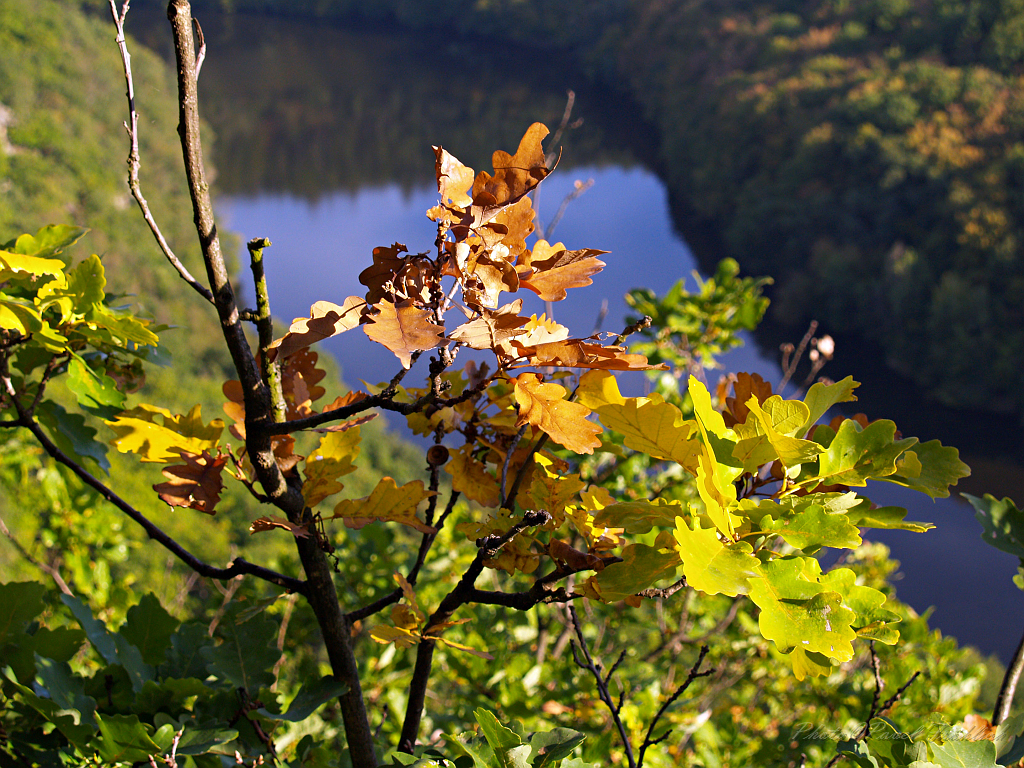 Podzim na Kralove stolci.jpg - OLYMPUS DIGITAL CAMERA